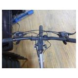 Warp Giant DS2 Trail Bicycle