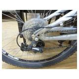 Warp Giant DS2 Trail Bicycle