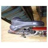 Warp Giant DS2 Trail Bicycle