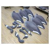 6 Canadian Goose Decoys
