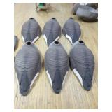 6 Canadian Goose Decoys