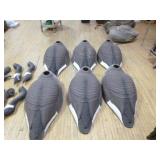 6 Canadian Goose Decoys