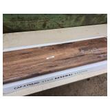 Cap.A.Tread Stair Renewal System