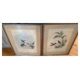 vintage hand colored lithograph of hummingbirds from John Gould