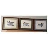 Three Vintage wildlife duck photos