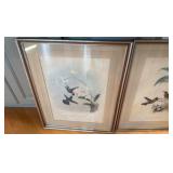 vintage hand colored lithograph of hummingbirds from John Gould