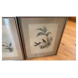 vintage hand colored lithograph of hummingbirds from John Gould