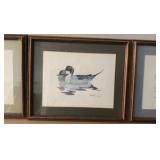 Three Vintage wildlife duck photos