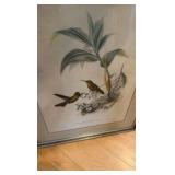 vintage hand colored lithograph of hummingbirds from John Gould