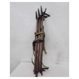 Lone Wolf Climbing Sticks – Set