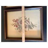 Vintage Framed Floral Botanical Prints Pair French Labels 11x14