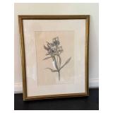 Terri Murphy Charcoal Floral Drawing Colombian Alstromeria Framed