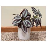 Artificial White Hydrangea Bouquet with Eucalyptus in Two White Ceramic Vases