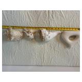 Donut-Shaped Ceramic Vase & Assorted Seashells - Coastal Decor Display