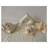 Donut-Shaped Ceramic Vase & Assorted Seashells - Coastal Decor Display