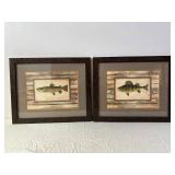 Framed Fish Prints - Brown Trout & Yellow Perch (Lot of 2)