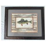 Framed Fish Prints - Brown Trout & Yellow Perch (Lot of 2)