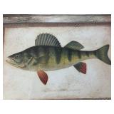 Framed Fish Prints - Brown Trout & Yellow Perch (Lot of 2)