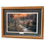 Derk Hansen Shadow of the Forest - Framed Print