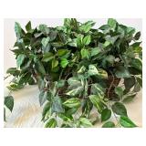 Threshold Potted Faux Plant - Variegated Pothos in White Pot