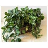 Threshold Potted Faux Plant - Variegated Pothos in White Pot