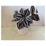 Threshold Potted Faux Plant - Variegated Pothos in White Pot