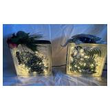 Assorted LED-Illuminated Glass Blocks with Ribbon & Greenery (Lot of 2)