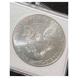 2013 AMERICAN SILVER EAGLE 1 TROY OZ .999 FINE SILVER IN CASE