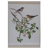 Geri Arnold Birds on Branch Print - Framed Artwork, 20 x 24.5 Inches