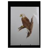 Geri Arnold Bald Eagle Illustration Print - 15 x 20 Inches on Paper