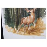 Geri Arnold Deer in Forest - 16.5 x 22 Inch Artwork on Paper
