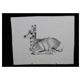 George Arnold - Graphite Drawing of a Greyhound in Profile Approximately 15' x 13'
