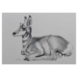 George Arnold - Graphite Drawing of a Greyhound in Profile Approximately 15' x 13'