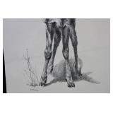 Geri Arnold - Pencil Drawing of Deer Fawn on Paper - 8.5 x 13.5 Inches