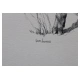 Geri Arnold - Pencil Drawing of Deer Fawn on Paper - 8.5 x 13.5 Inches