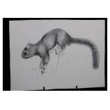 Geri Arnold Squirrel Pencil Drawing - 15 x 11 Inches