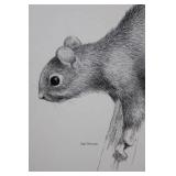 Geri Arnold Squirrel Pencil Drawing - 15 x 11 Inches