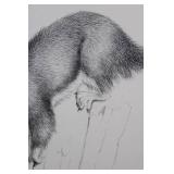 Geri Arnold Squirrel Pencil Drawing - 15 x 11 Inches