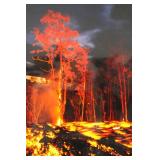 Michael Stewart Volcanoes National Park Limited Edition Photo Print 31/1000 - Framed