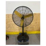 Big fan