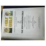 Holy bible nab catholic family edition gold pages