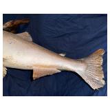 Large rainbow trout fish Mount