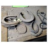 Assortment of Horse shoes