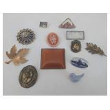 Assorted Vintage Brooches and Pins - Costume Jewelry Collection