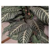 LR - Potted Faux Dieffenbachia Plant - Approximately 4 Ft Tall in Gold-Tone Planter