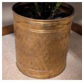 LR - Potted Faux Dieffenbachia Plant - Approximately 4 Ft Tall in Gold-Tone Planter