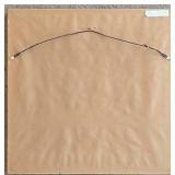 K - Floral Species II - Framed Canvas Painting