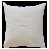 LR - Pottery Barn & Ralph Lauren Pillow Covers with Inserts