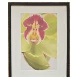 LR - Framed Signed Print - Orchid Close-Up