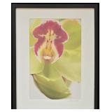 LR - Framed Signed Print - Orchid Close-Up